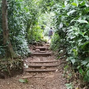 Meet your Posher, Janice